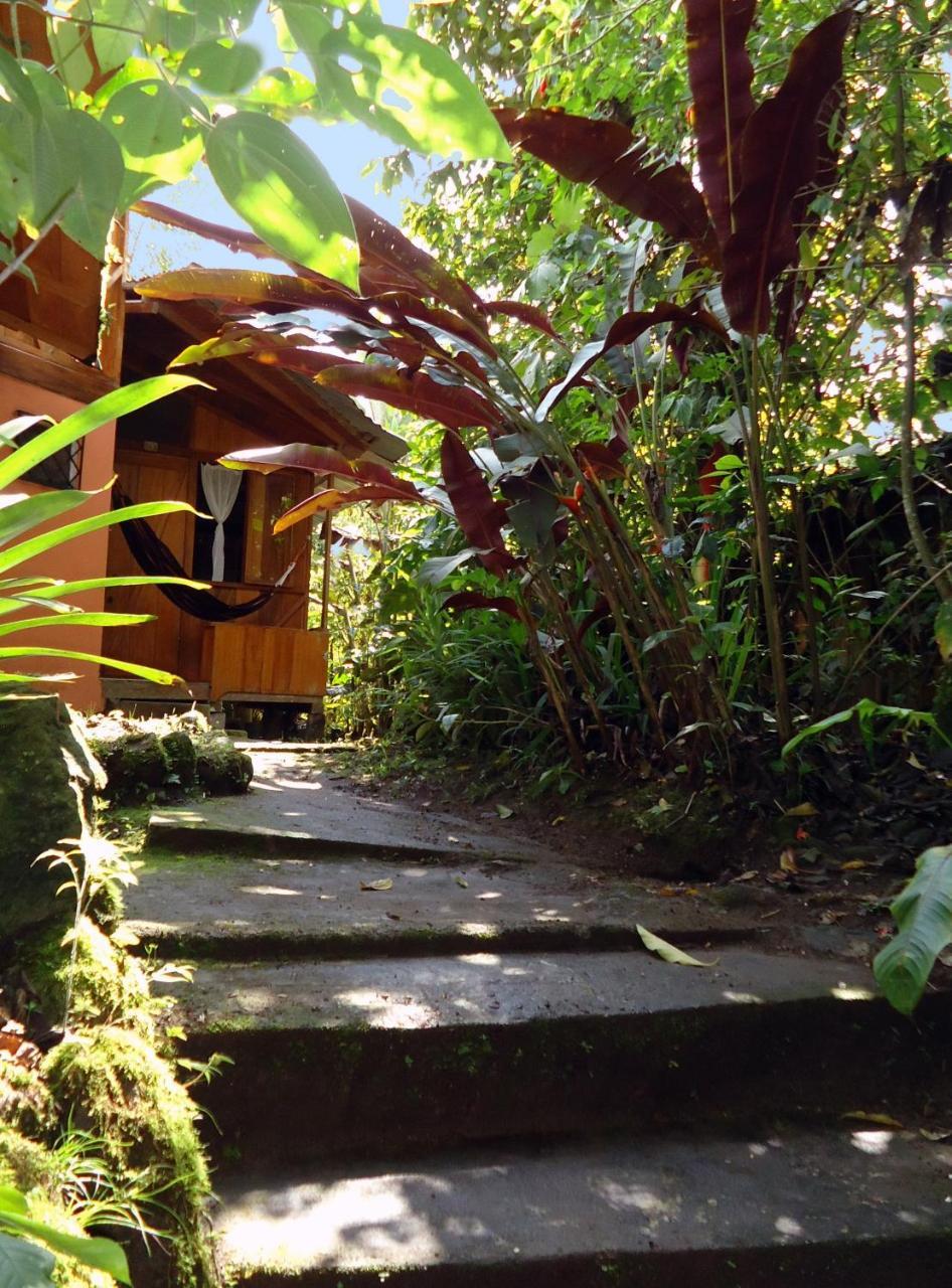 Cabanas Armonia Y Jardin De Orquideas ميندو المظهر الخارجي الصورة